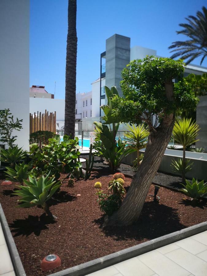 Appartement Vista Bristol 50B Corralejo Bagian luar foto