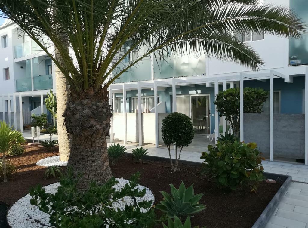 Appartement Vista Bristol 50B Corralejo Bagian luar foto