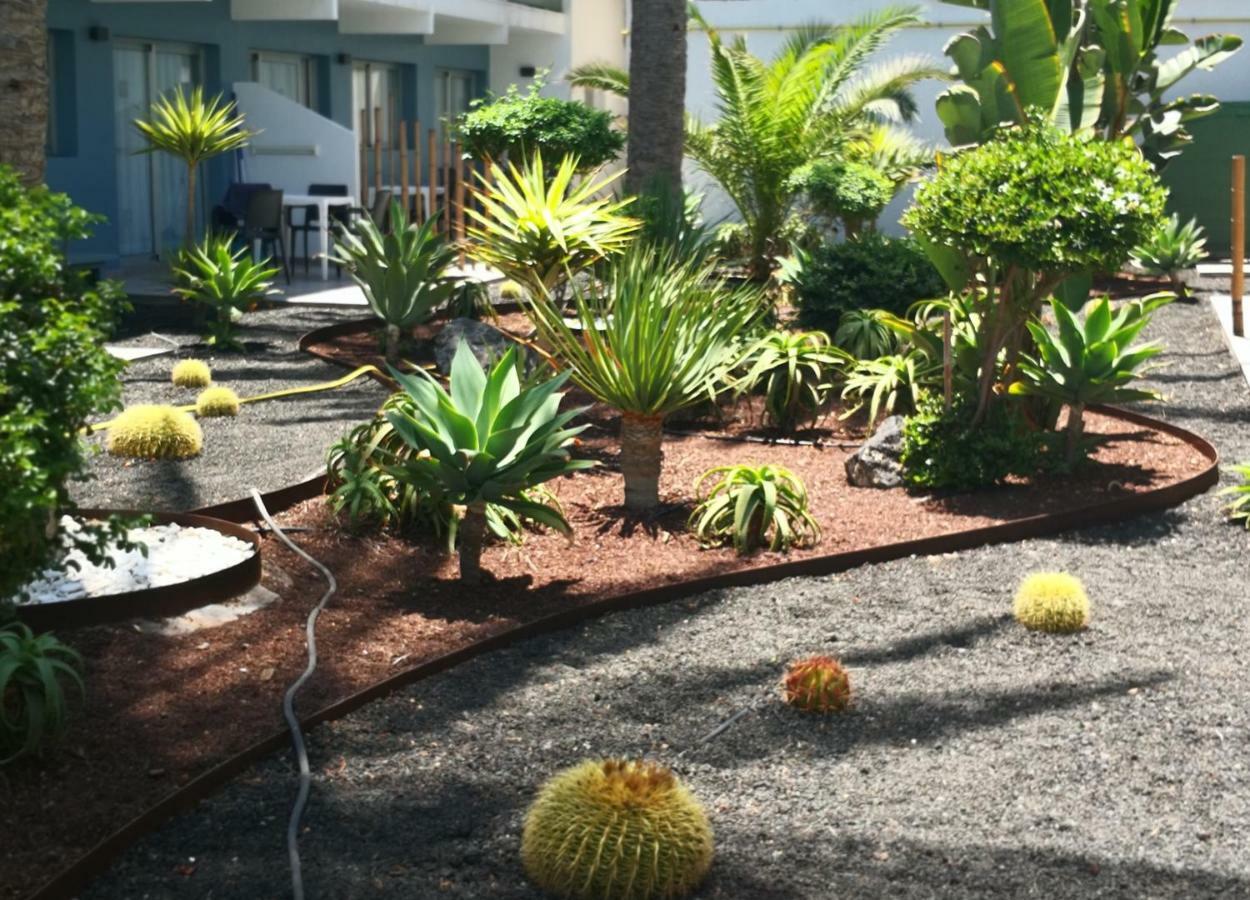 Appartement Vista Bristol 50B Corralejo Bagian luar foto